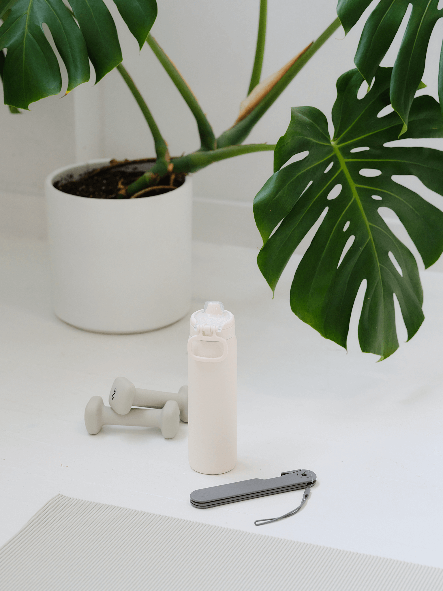 A gray BraClaw with small weights, a yoga mat, and a white water bottle in a studio with a large lush green plant